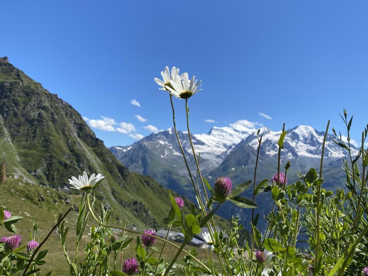 Appartamento Ravishing In In Verbier